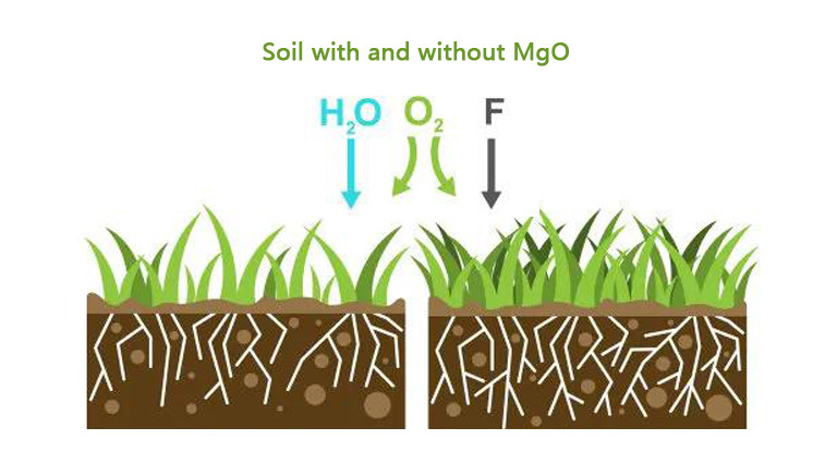 Magnesium sulfate monohydrate