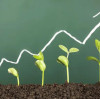 Global Soil Acidity Challenges Drive Demand for High-Purity Magnesium Oxide Soil Amendments