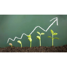 Global Soil Acidity Challenges Drive Demand for High-Purity Magnesium Oxide Soil Amendments