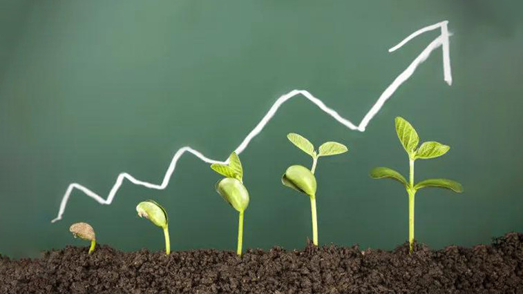 Global Soil Acidity Challenges Drive Demand for High-Purity Magnesium Oxide Soil Amendments