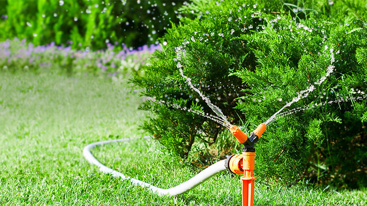 Boost Efficiency with Water Soluble Fertilizers & Nitrates