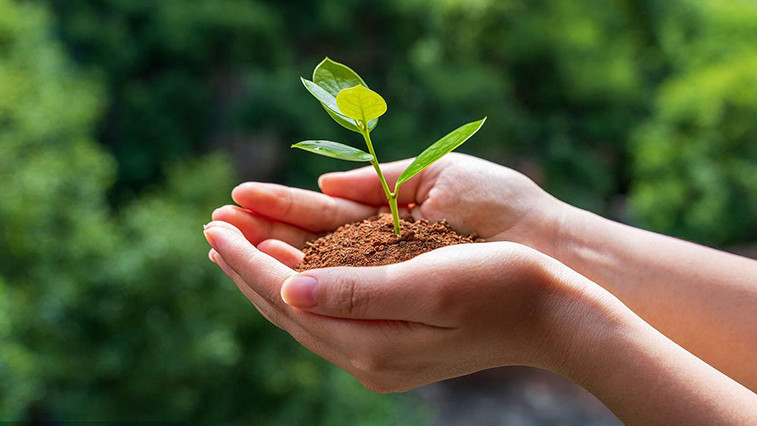 magnesium oxide soil conditioner