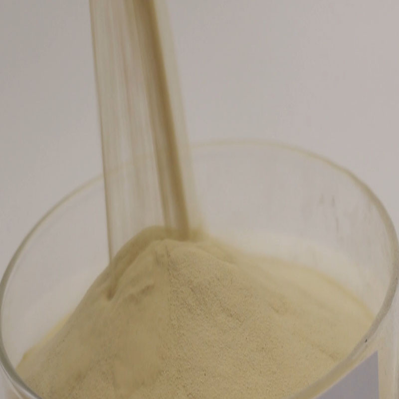 Amino Acid
