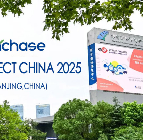 Richase Shines at VIV Asia 2025, Drawing Global Attention with High-Quality Animal Nutrition Solutions