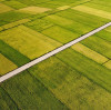 EU Green Deal Favors Calcium Ammonium Nitrate Fertilizer Use