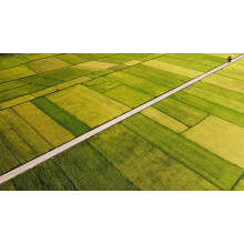 EU Green Deal Favors Calcium Ammonium Nitrate Fertilizer Use