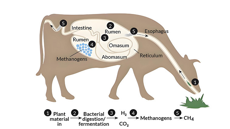 hydrometallurgical processes