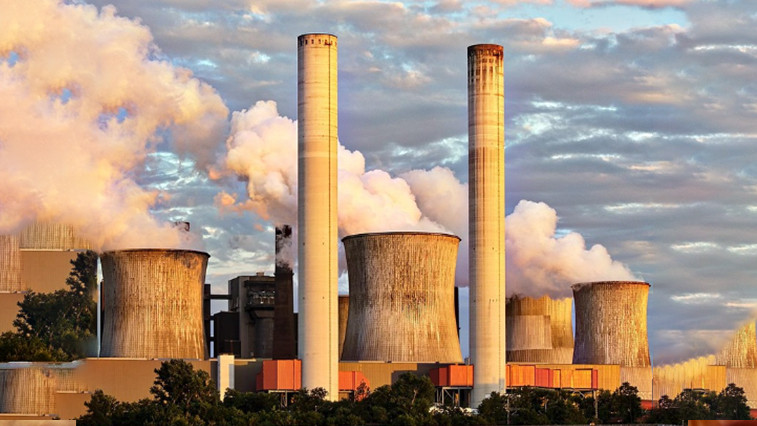 Lysine Becomes an Essential Feed Additive Supporting Efficient and Sustainable Swine Production in Germany BY:Ludwig