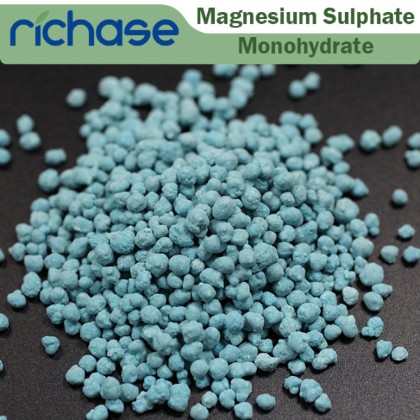 Magnesium Sulphate Monohydrate(Kieserite) color granular