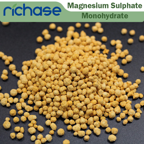 Magnesium Sulphate Monohydrate(Kieserite)color granular