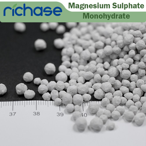 Magnesium Sulphate Monohydrate(Kieserite) granular W.MgO20%23%25%min