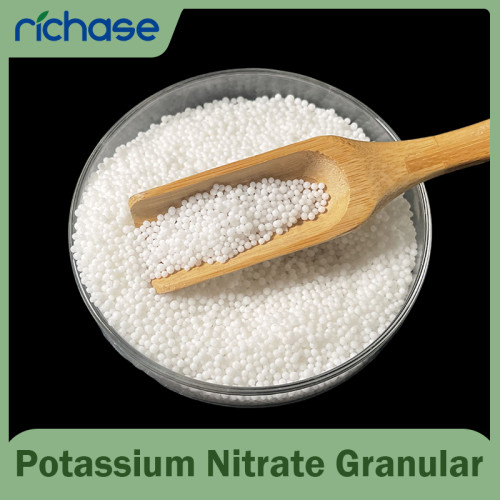 Potassium Nitrate Granular 99.7% - N-K Fertilizer for Fruits & Flowers, Bulk OEM Supply