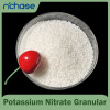 Potassium Nitrate Granular 99.7% - N-K Fertilizer for Fruits & Flowers, Bulk OEM Supply