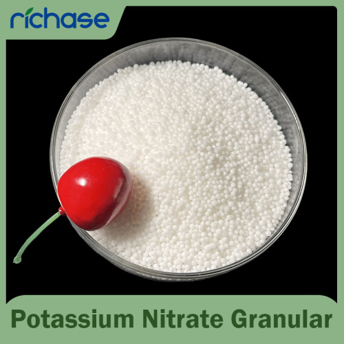 Potassium Nitrate Granular 99.7% - N-K Fertilizer for Fruits & Flowers, Bulk OEM Supply