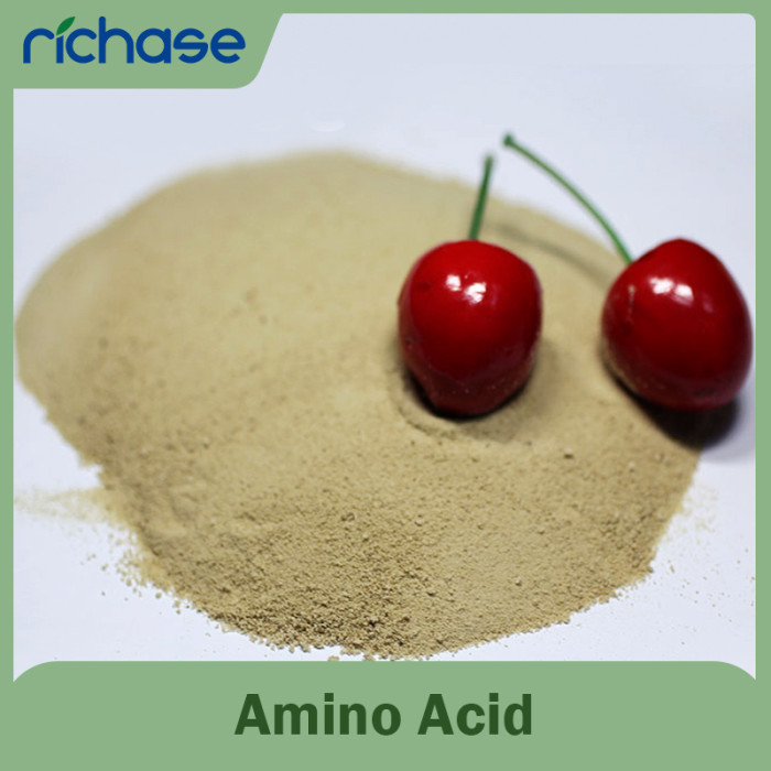 Plant Amino Acid Fertilizer 80% Free - Foliar Spray & Soil Conditioner, Bulk ODM Supply