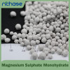Magnesium Sulphate Monohydrate(Kieserite) granular W.MgO20%23%25%min