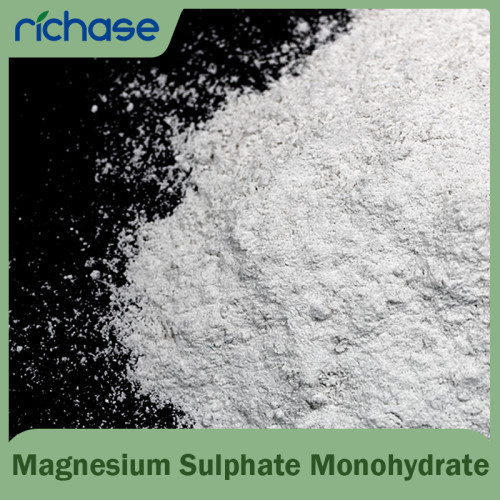 Magnesium Sulphate Monohydrate(Kieserite) powder W.MgO20%23%25%min