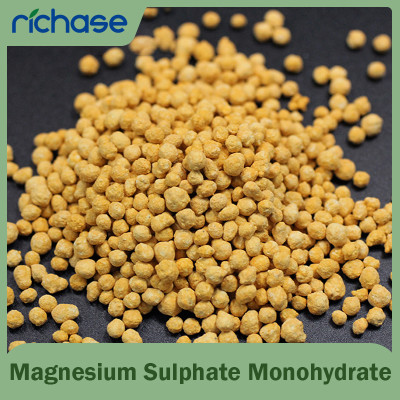 Magnesium Sulphate Monohydrate(Kieserite)color granular