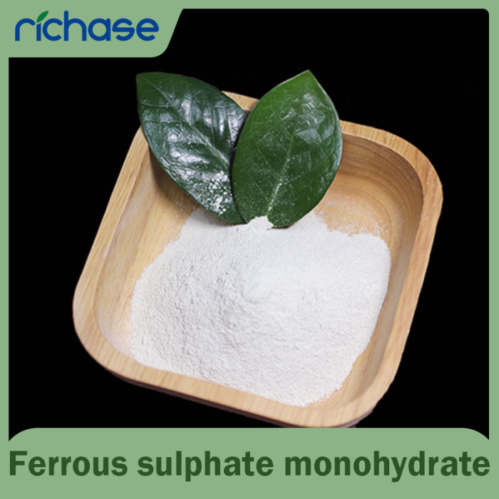 Ferrous Sulphate Monohydrate Powder