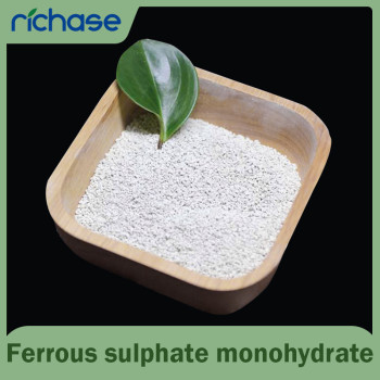 High Purity Ferrous Sulphate Monohydrate Granular - OEM & ODM Manufacturing