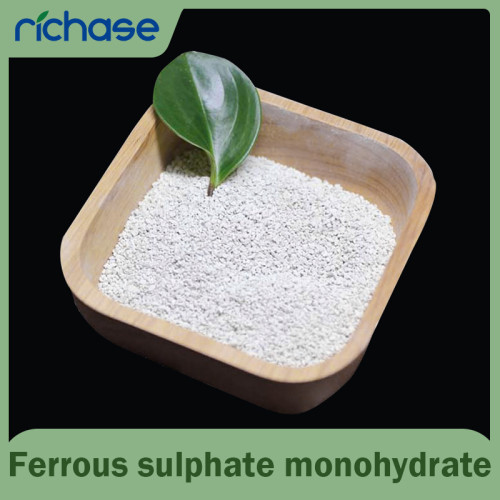 High Purity Ferrous Sulphate Monohydrate Granular - OEM & ODM Manufacturing
