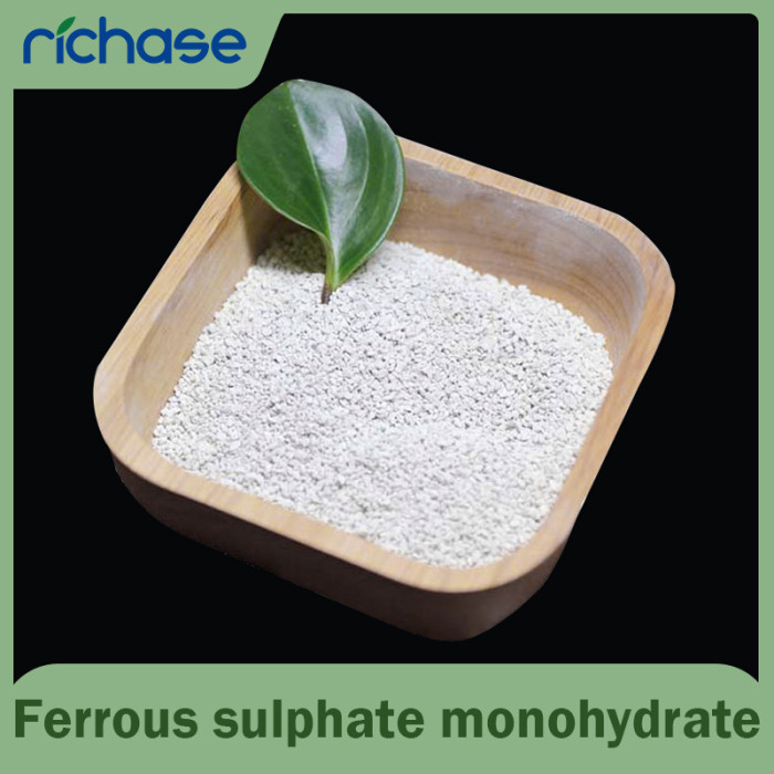 High Purity Ferrous Sulphate Monohydrate Granular - OEM & ODM Manufacturing