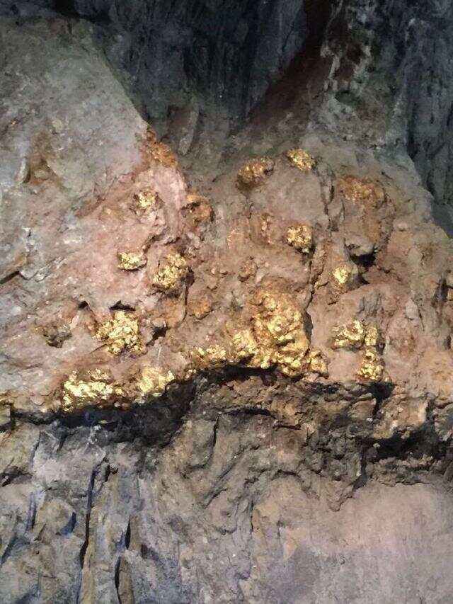 gold ore flotation process