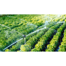 Boost Crop Yield with Magnesium Oxide Fertilizer Solutions