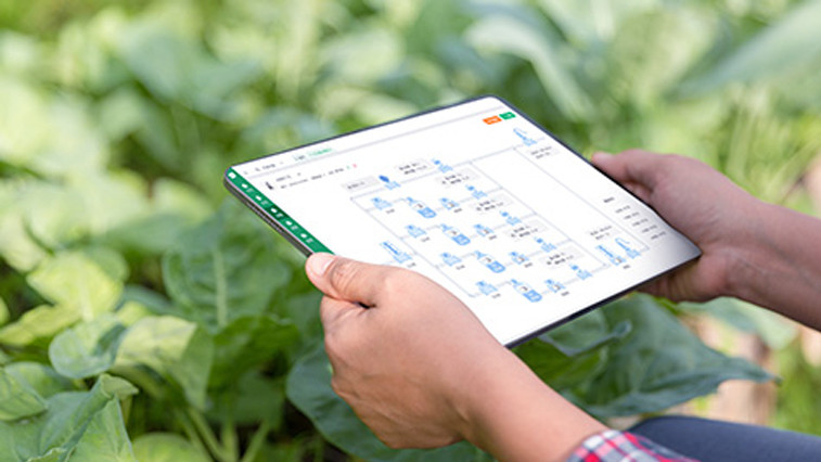 Magnesium Sulfate Heptahydrate Demand Rises in Global Farming