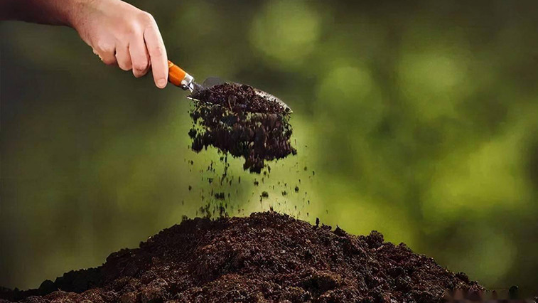 Ten major functions of humic acid