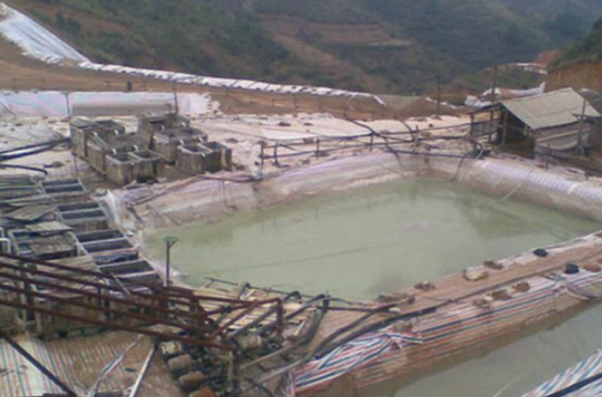 Environmental governance