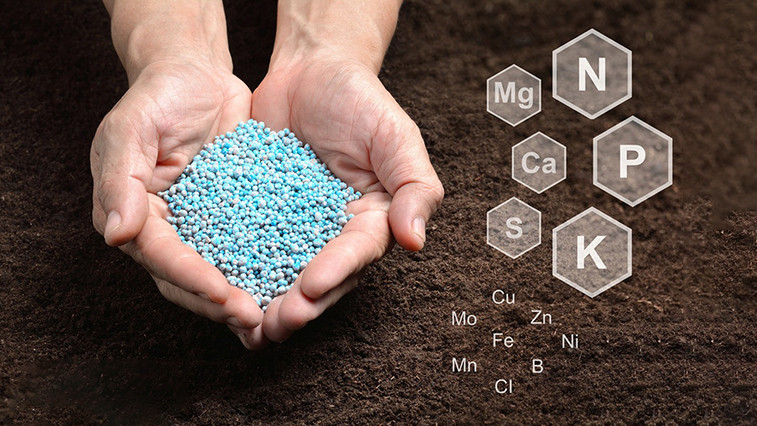 Magnesium Sulphate Monohydrate for Soil Recovery