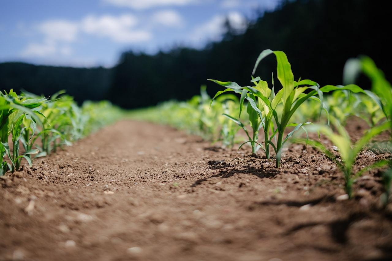 Soil Carbon Push Lifts Humic Acid Demand