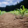 Soil Carbon Push Lifts Humic Acid Demand