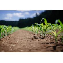 Soil Carbon Push Lifts Humic Acid Demand