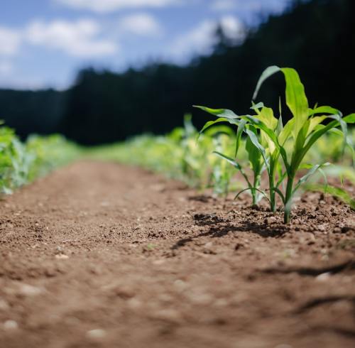 Soil Carbon Push Lifts Humic Acid Demand