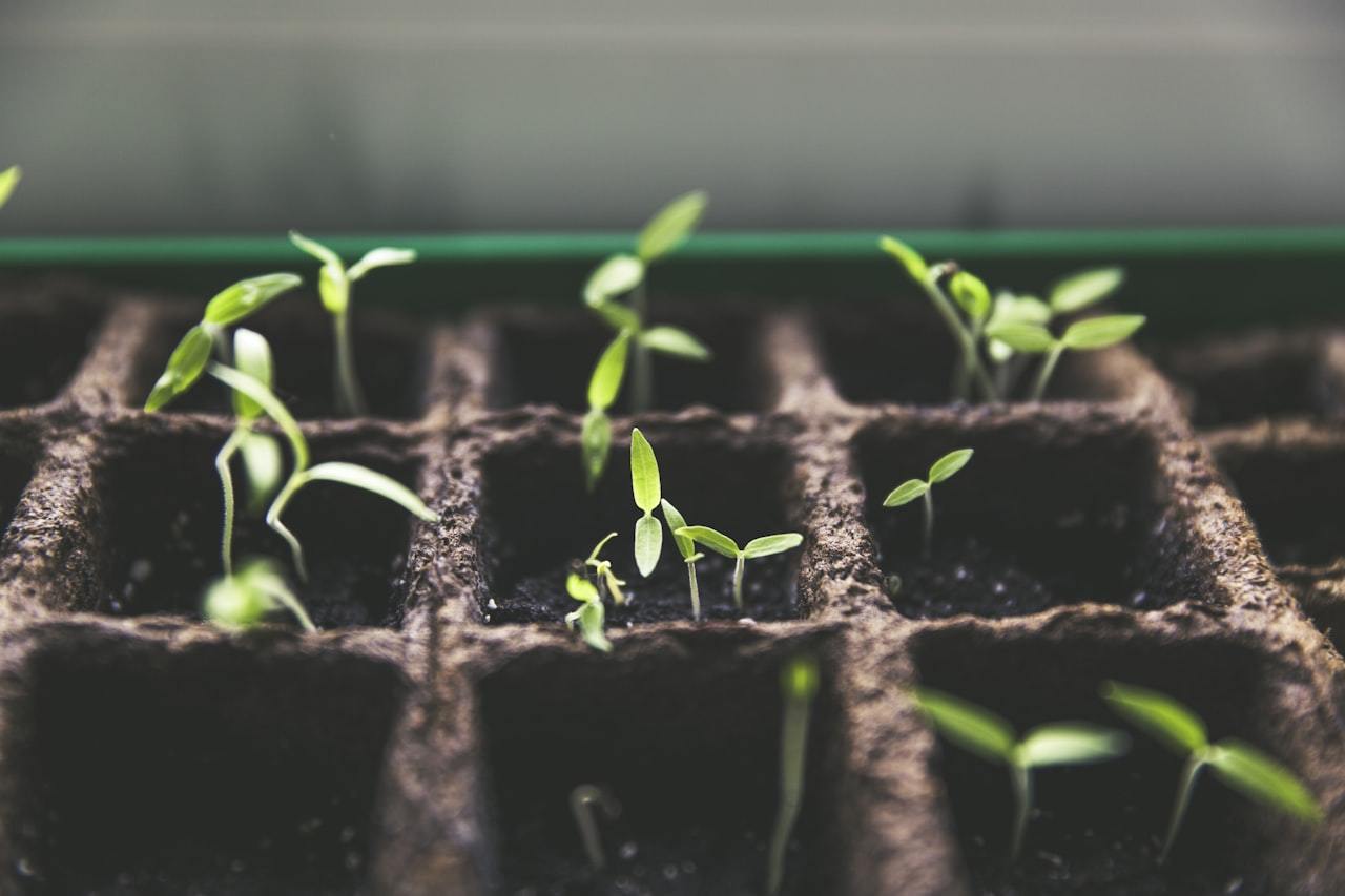 Fulvic Acid Biostimulant Guide