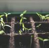 Fulvic Acid Biostimulant Guide