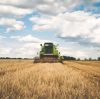 Potassium Sulphate for Crops: Fertilizer Buyer Guide