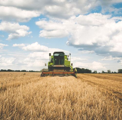 Potassium Sulphate for Crops: Fertilizer Buyer Guide