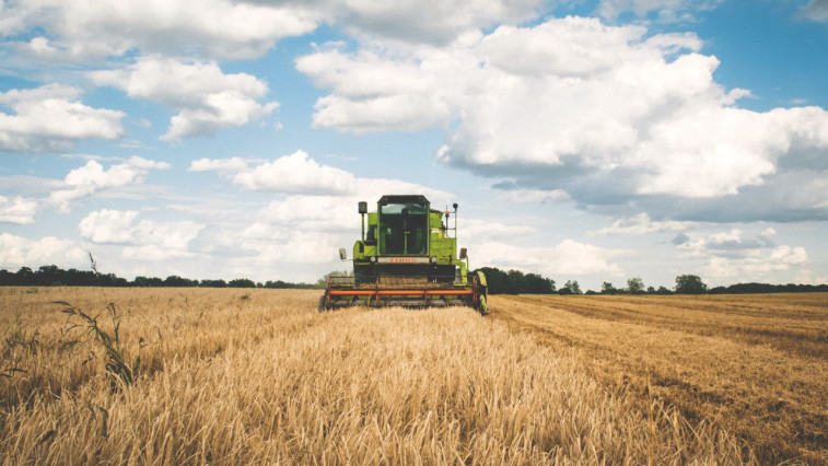 Monoammonium Phosphate: Fertilizer Buyer Guide