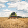 Monoammonium Phosphate: Fertilizer Buyer Guide