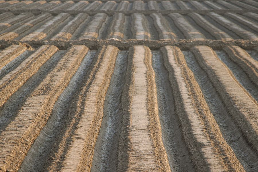 plowed agricultural field showing soil micronutrients management