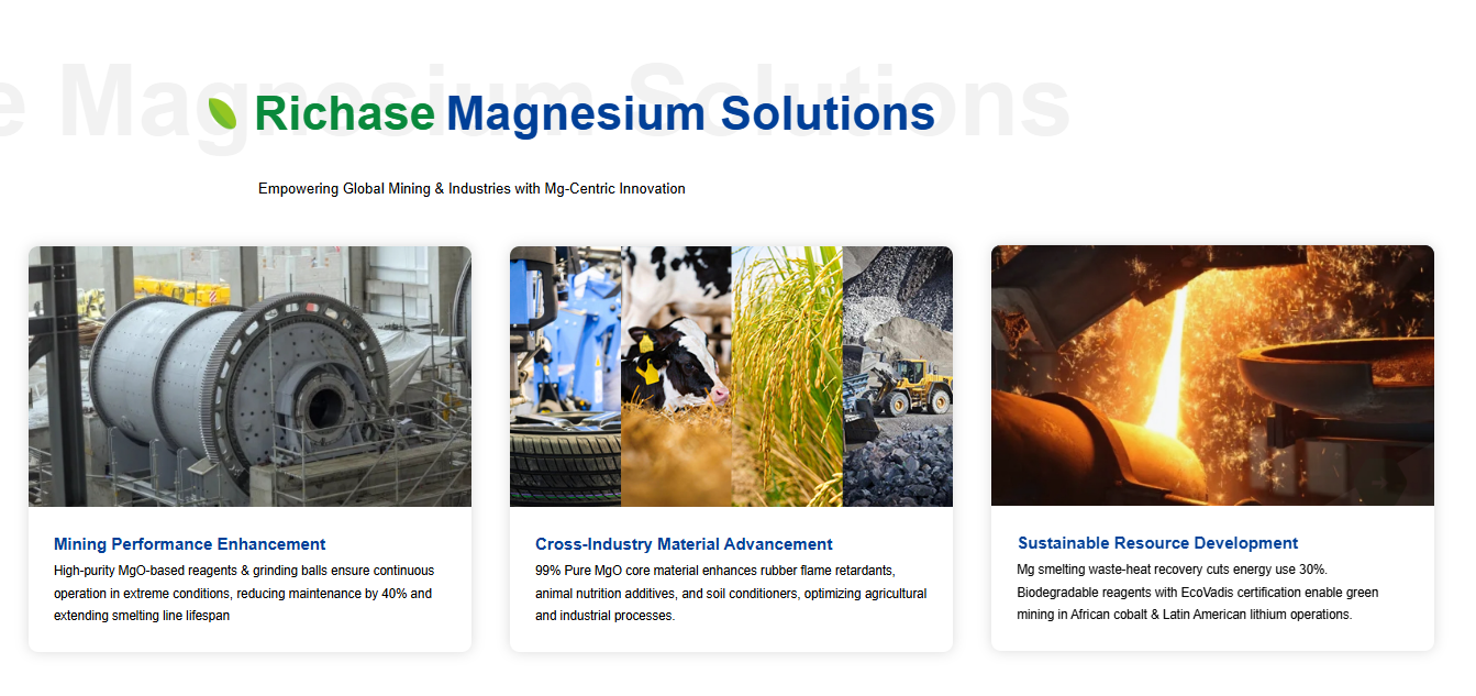 RICHASE GROUP LIMITED