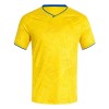 Custom Football Jersey Manufacturer | Polyester Sports Tee Teamwear – OEM