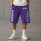 Custom Fleece Shorts With Distressed Collegiate Logo