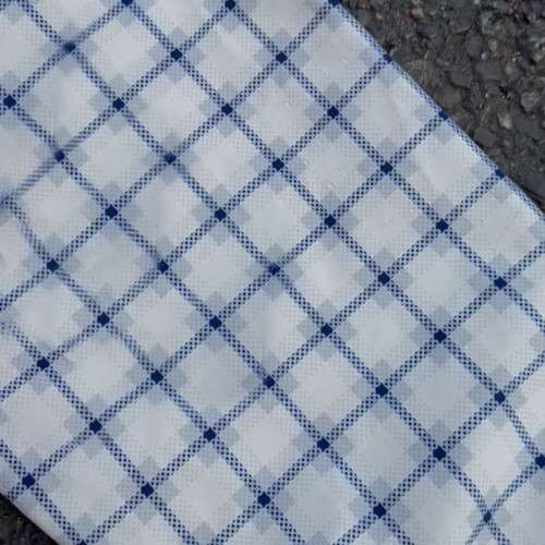 Light Blue Windowpane Plaid Hooded Windbreaker Jacket