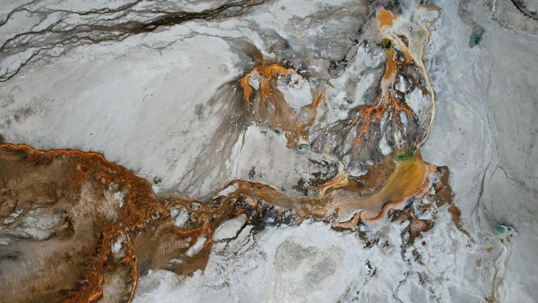 Birch Sap: Nature's Elixir for Health and Hydration – A Deep Dive into Its Benefits and Uses