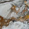 Birch Sap: Nature's Elixir for Health and Hydration – A Deep Dive into Its Benefits and Uses