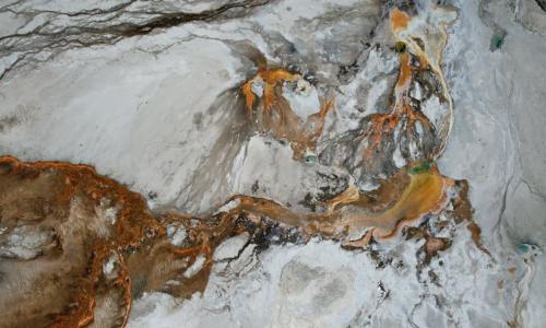 桦树汁:天然的健康和补水灵药——深入了解其益处和用途